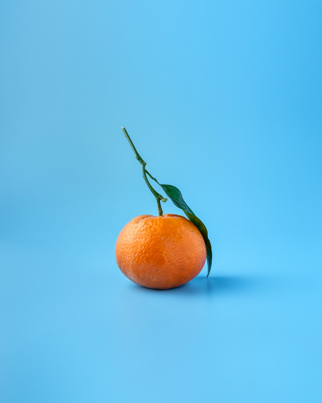 Egyptian mandarins