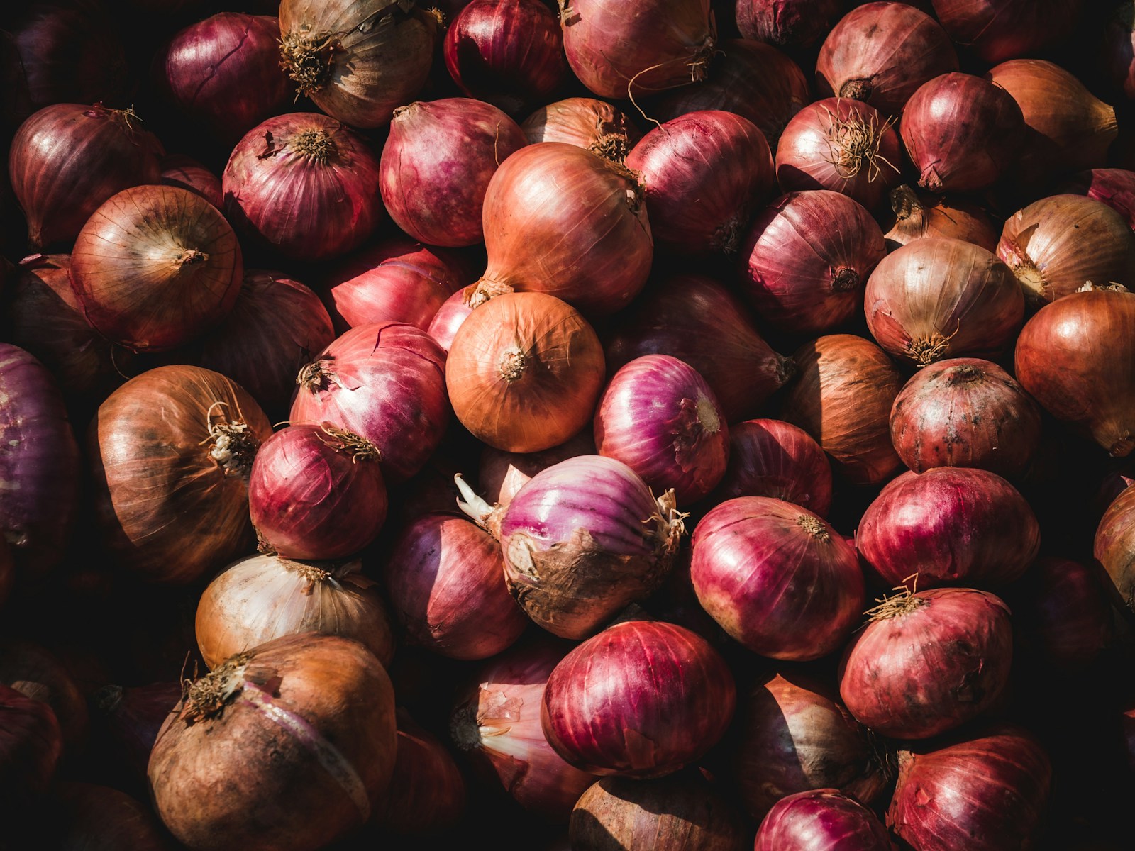 Egyptian onions