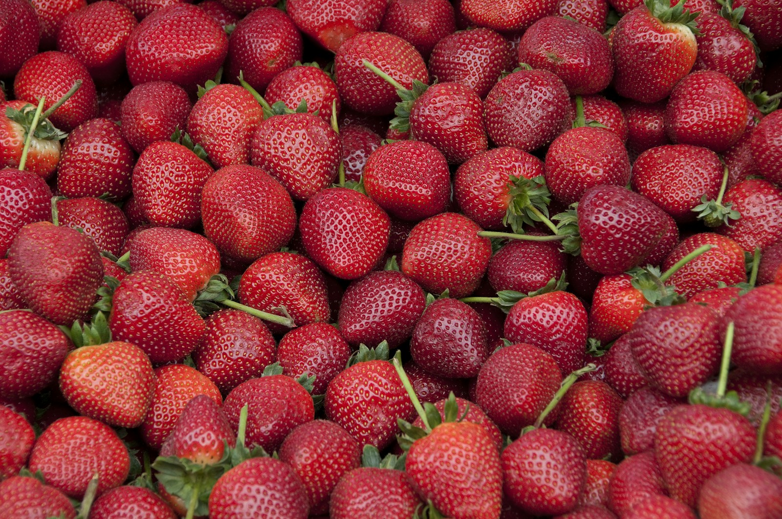 Egyptian strawberries